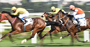 Saratoga Racecourse - horses running